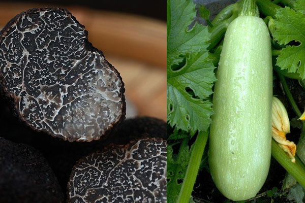 西葫蘆可以和松露一起炒著吃嗎，白玉菇和松露能一起吃嗎