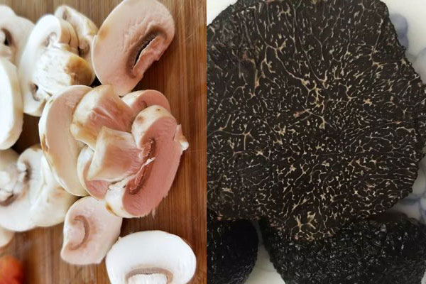 松露搭配口蘑具有哪些禁忌