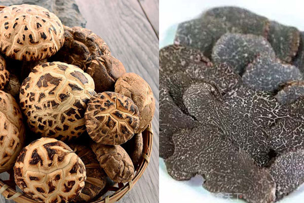 花菇和松露可以一起吃嗎，松露清蒸鱸魚的禁忌
