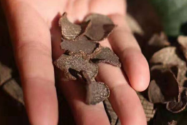 常吃松露可以抗疲勞嗎，黑松露餃子可以放冰箱多久