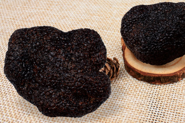 吃黑松露可以促進睡眠嗎，松露可以抗衰老嗎