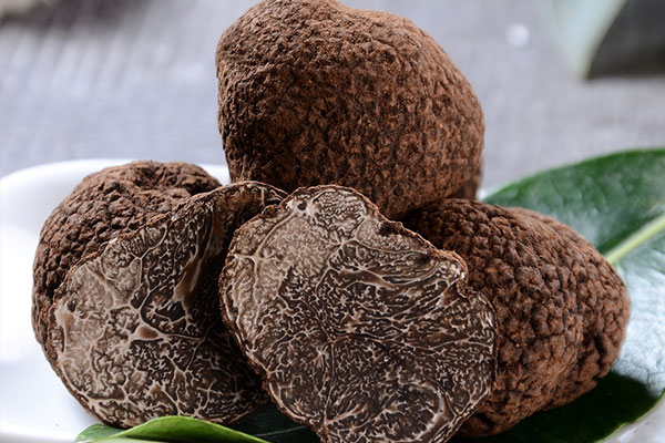 大量購買黑松露買怎樣的 大量購買黑松露買怎樣的