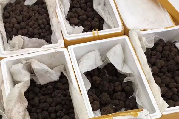 黑松露怎么分級，黑松露怎么切最好