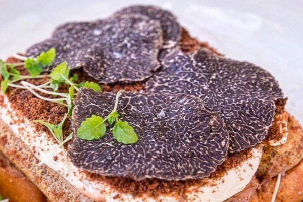 黑松露如何切 黑松露如何切