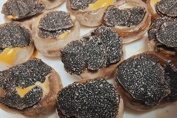 黑松露的俗稱叫什么 黑松露的俗稱叫什么