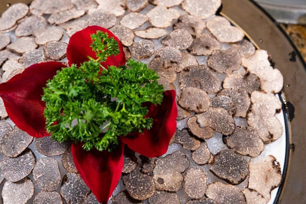 對云南松露的誤解有哪些