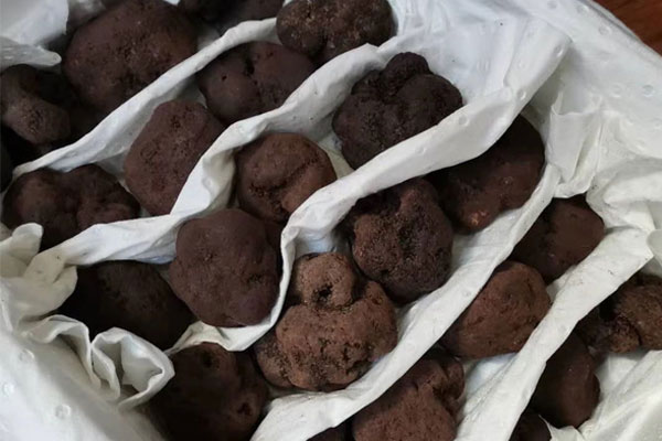 澳洲的黑松露季節(jié)是哪些月份