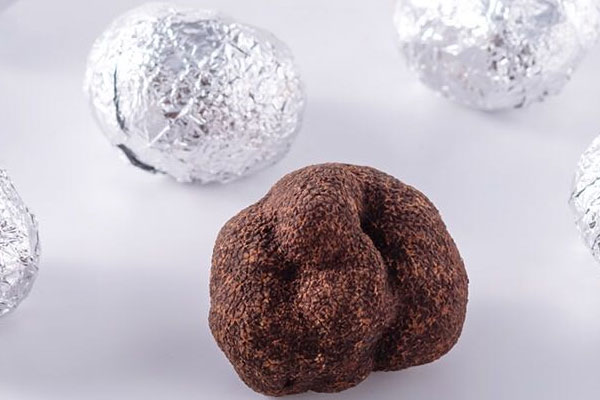 歐洲黑松露的上市季節(jié)