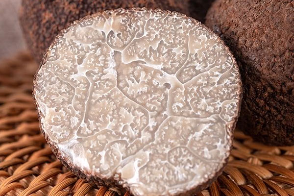 黑松露過期敢吃嗎，冰凍松露可以泡酒嗎