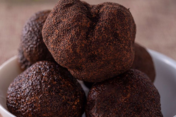 松露可以種植嗎 松露可以種植嗎