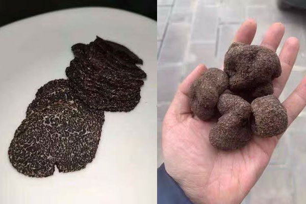 新鮮松露如何存放 新鮮松露如何存放