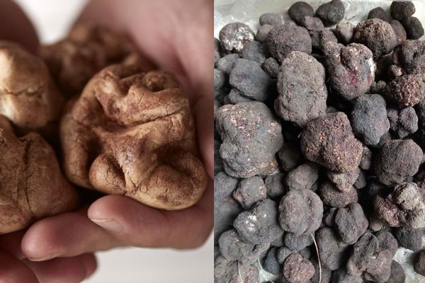 松露究竟有多貴 松露究竟有多貴