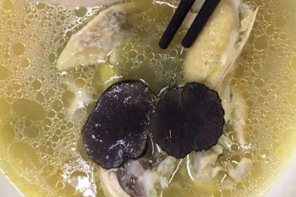 松露減產(chǎn)的原因