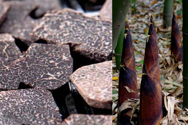 松露可以和春筍一起吃嗎 松露可以和春筍一起吃嗎