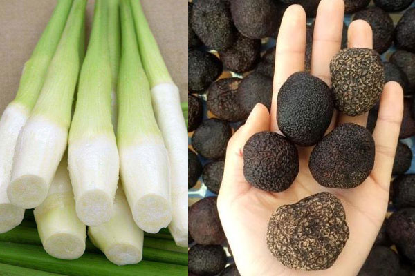 松露能和茭白一起吃嗎，松露炒茭白什么人不能吃