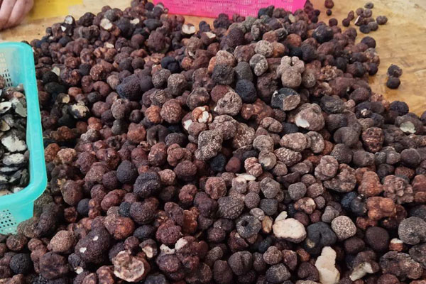 松露不能和什么一起吃 松露不能和什么一起吃