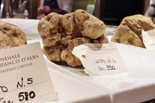 白松露可以加熱吃嗎 白松露可以加熱吃嗎