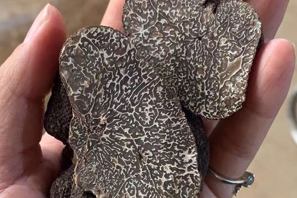 黑松露獨(dú)特的香味從哪里來的