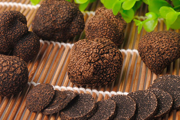 黑松露生長(zhǎng)在云南哪些地區(qū)，松露泡酒時(shí)間長(zhǎng)好嗎