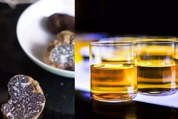 松露泡酒浸泡很長時間好嗎 松露泡酒浸泡很長時間好嗎