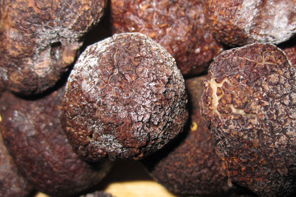 黑松露放冷凍幾年了還可以吃嗎 黑松露放冷凍幾年了還可以吃嗎