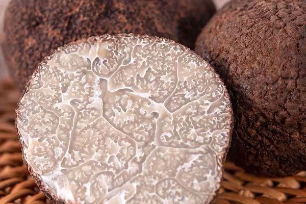 松露有什么顏色的 松露有什么顏色的