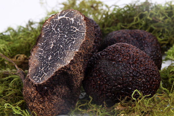 新鮮松露怎么冰凍好 新鮮松露怎么冰凍好