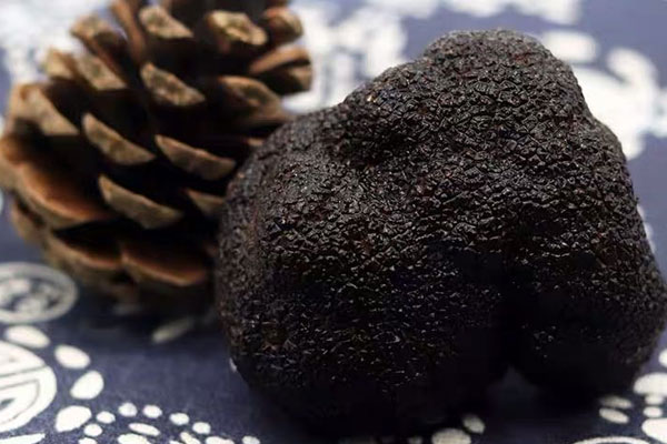 松露冷凍后會(huì)有異味嗎，松露冷凍后有酒味正常嗎