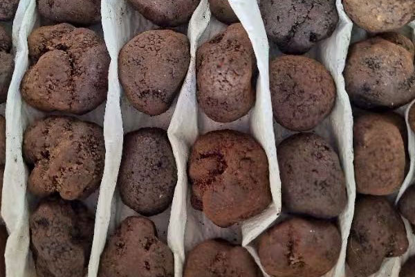 新鮮黑松露冷凍后有酒味正常嗎 新鮮黑松露冷凍后有酒味正常嗎