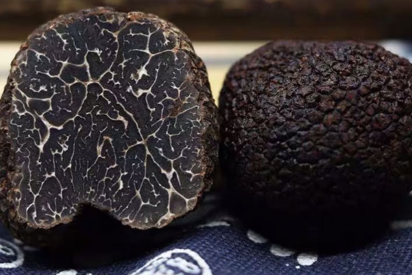 黑松露的皮能吃嗎，凍松露可以水煮嗎