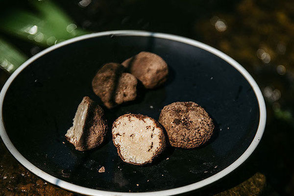 尿頻尿急可以吃松露嗎 尿頻尿急可以吃松露嗎