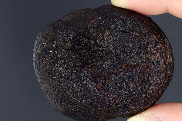 黑松露的價(jià)格為什么那么貴 黑松露的價(jià)格為什么那么貴