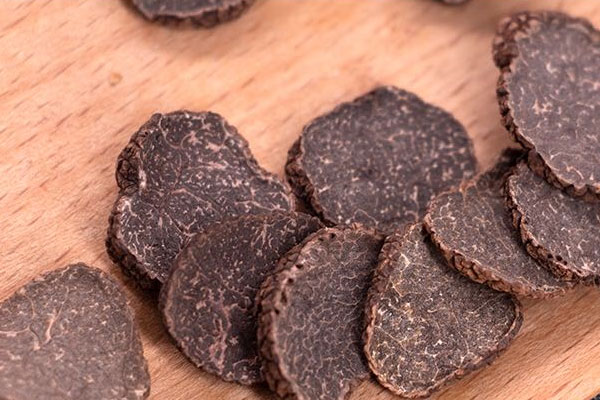 松露的產(chǎn)地在哪些國家 松露的產(chǎn)地在哪些國家