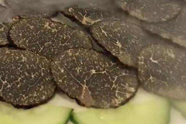 法國女人為什么喜歡黑松露，松露是不是馬皮包