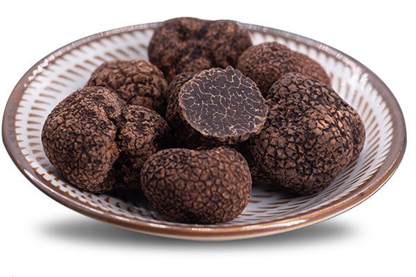 黑松露從什么地方長出來的