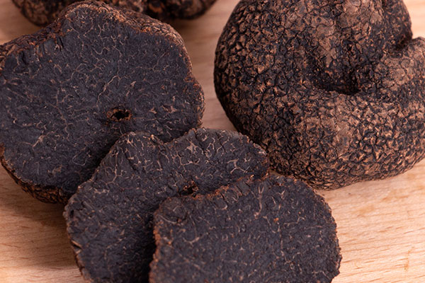 山西什么地方有松露，母豬依靠什么找到松露