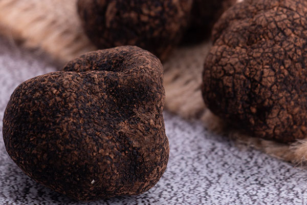 剛出土的松露是什么味道