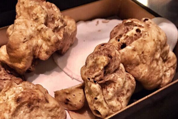 1克白松露多少錢 1克白松露多少錢