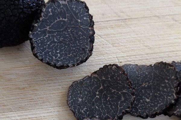 關(guān)于黑松露的小常識(shí)
