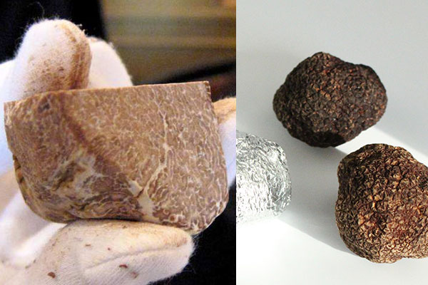 黑松露和白松露都是一樣的烹飪方法嗎 黑松露和白松露都是一樣的烹飪方法嗎