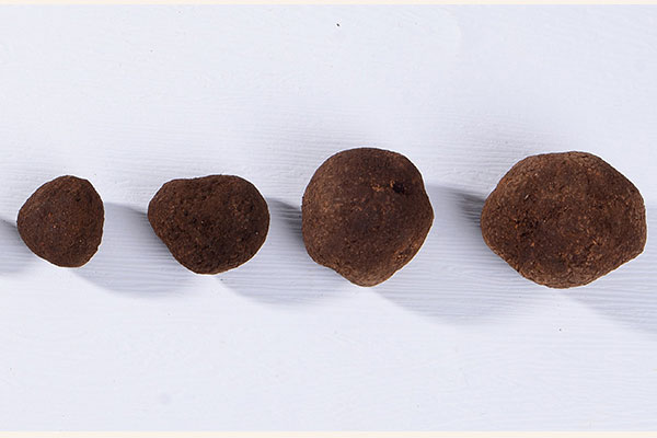 不同的人群吃松露有不同的好處 不同的人群吃松露有不同的好處