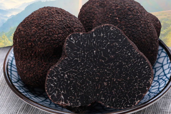 黑松露新鮮上市季節(jié)是什么時(shí)候 黑松露新鮮上市季節(jié)是什么時(shí)候