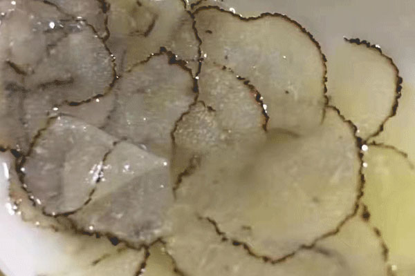 黑松露過(guò)期敢吃嗎，在市面上流通的松露品種有哪些