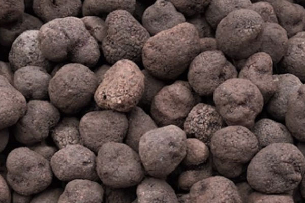 法國(guó)最好的松露出產(chǎn)在哪個(gè)地方 法國(guó)最好的松露出產(chǎn)在哪個(gè)地方