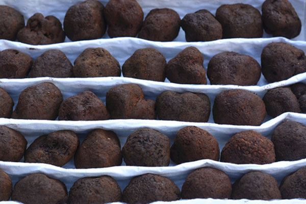 中國(guó)松露最早的記載是什么時(shí)候 中國(guó)松露最早的記載是什么時(shí)候