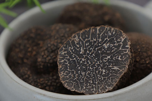 有泥的松露怎么保存最好，夏松露的采摘季節(jié)