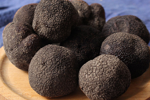 松露能壯陽(yáng)的說(shuō)法是從哪里來(lái)的 松露能壯陽(yáng)的說(shuō)法是從哪里來(lái)的