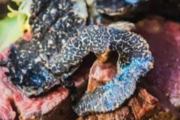 孕婦吃黑松露有哪些好處 孕婦吃黑松露有哪些好處