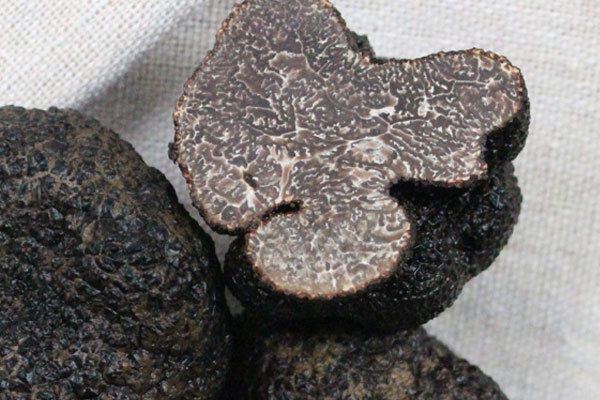 孕婦能夠吃黑松露嗎 孕婦能夠吃黑松露嗎