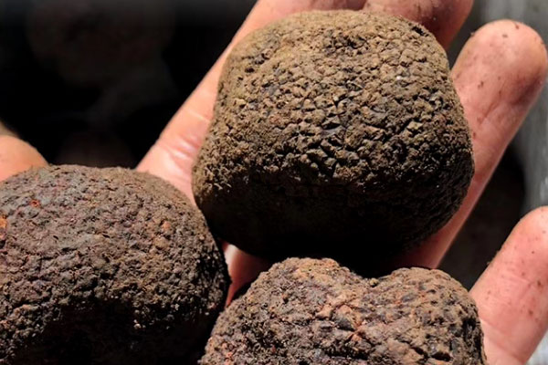 中國松露為啥不被承認(rèn)，黑松露醬可以直接食用嗎